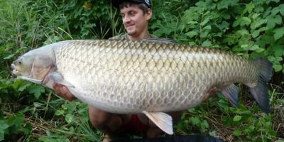 Russian grass carp record.jpg